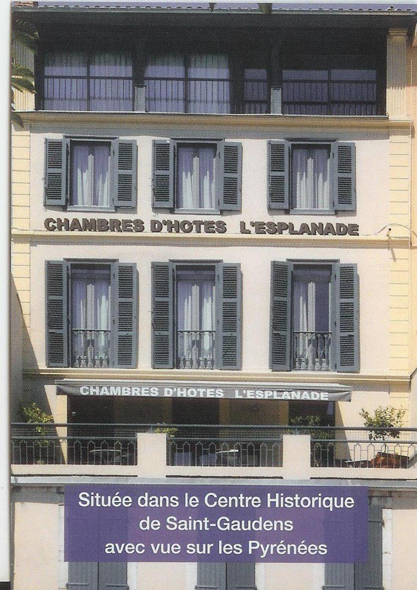 Maison De L'Esplanade Saint Gaudens Exteriér fotografie